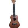 UKULELE